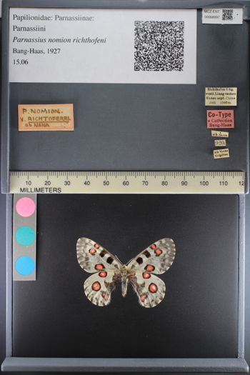 Media type: image;   Entomology 68997